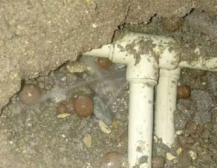 太仆寺卫生间测漏